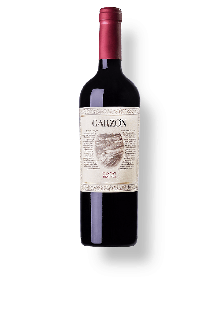 VINHO GARZON RESERVA TANNAT 